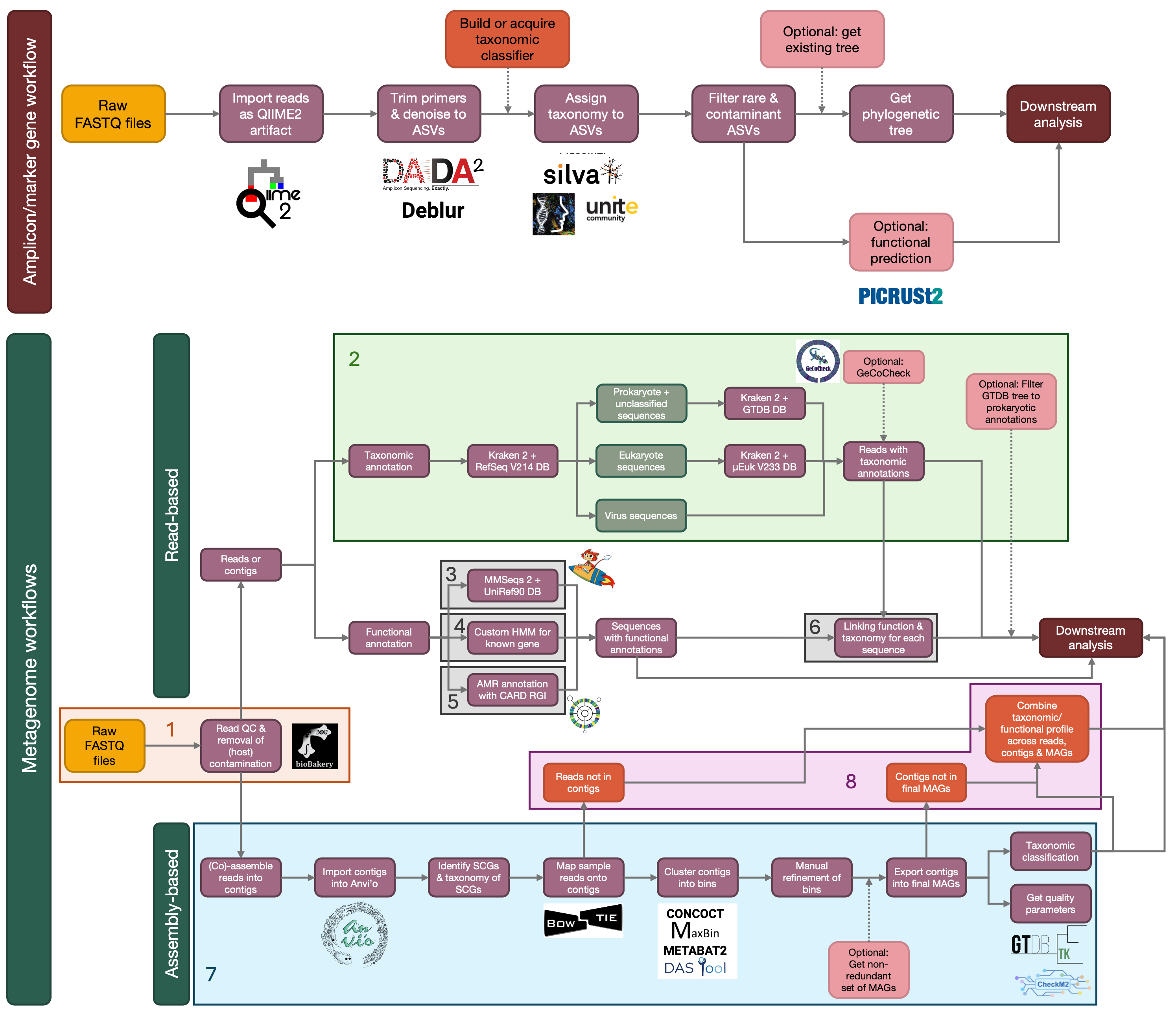 Overview of marker gene and metagenome workflows